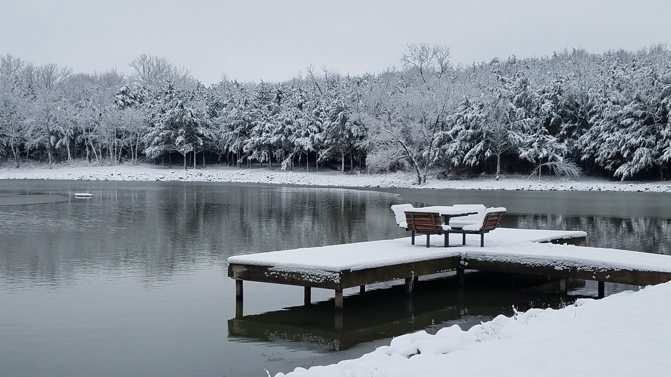 Dock and pond in winter